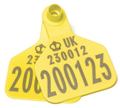 Replacement Cattle Tag